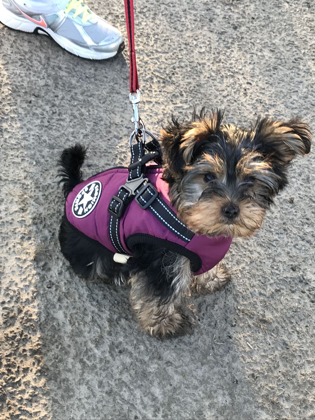 — Karen, Yorkshire